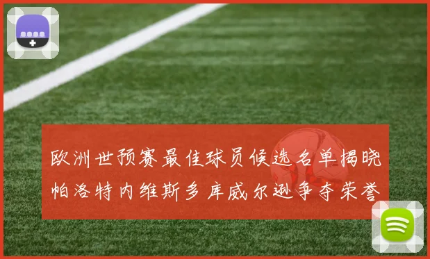 欧洲世预赛最佳球员候选名单揭晓帕洛特内维斯多库威尔逊争夺荣誉