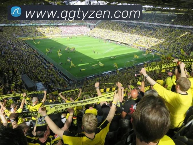 球冠体育发展历程